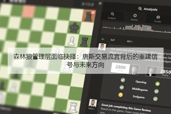 sen-lin-lang-guan-li-ceng-mian-lin-jue-ze-tang-si-jiao-yi-liu-yan-bei-hou-de-chong-jian-xin-hao-yu-wei-lai-fang-xiang-2-226.jpg